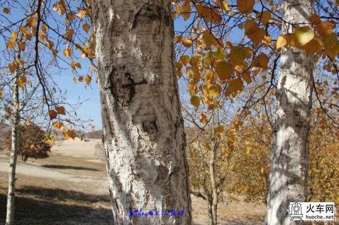 2013年国庆木兰围场之寻秋之旅之童话之旅30