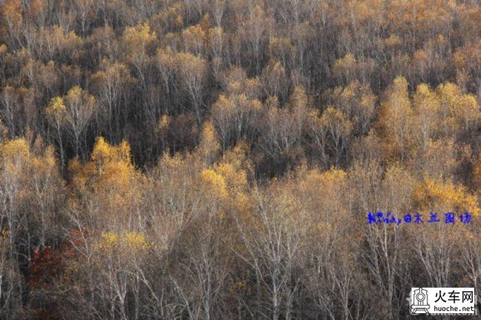 2013年国庆木兰围场之寻秋之旅之童话之旅37