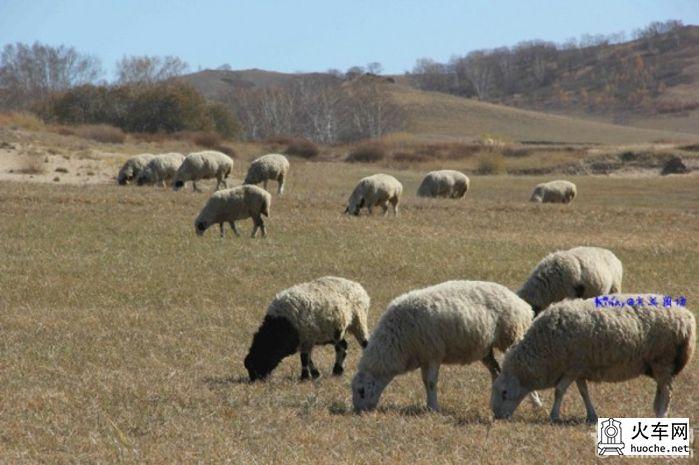 2013年国庆木兰围场之寻秋之旅之童话之旅26