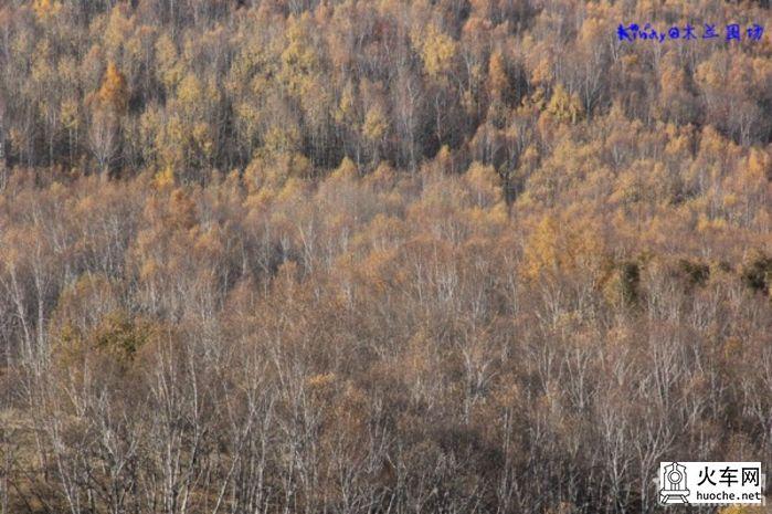 2013年国庆木兰围场之寻秋之旅之童话之旅52