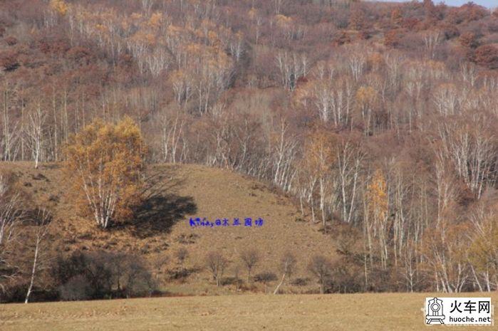 2013年国庆木兰围场之寻秋之旅之童话之旅49