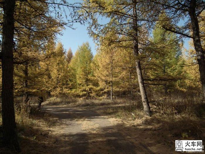 坝上游记（处女作）10