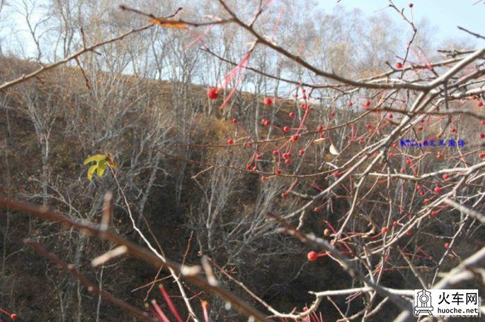 2013年国庆木兰围场之寻秋之旅之童话之旅54