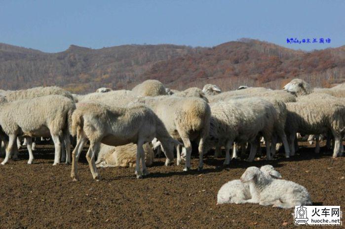 2013年国庆木兰围场之寻秋之旅之童话之旅56