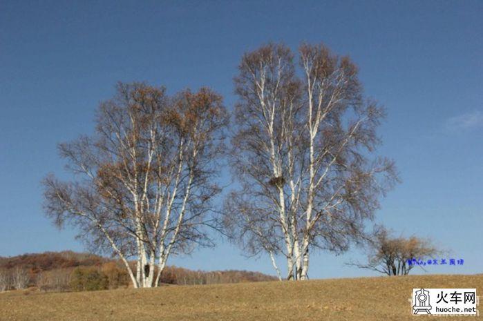 2013年国庆木兰围场之寻秋之旅之童话之旅51