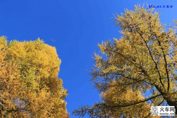 2013年国庆木兰围场之寻秋之旅之童话之旅5