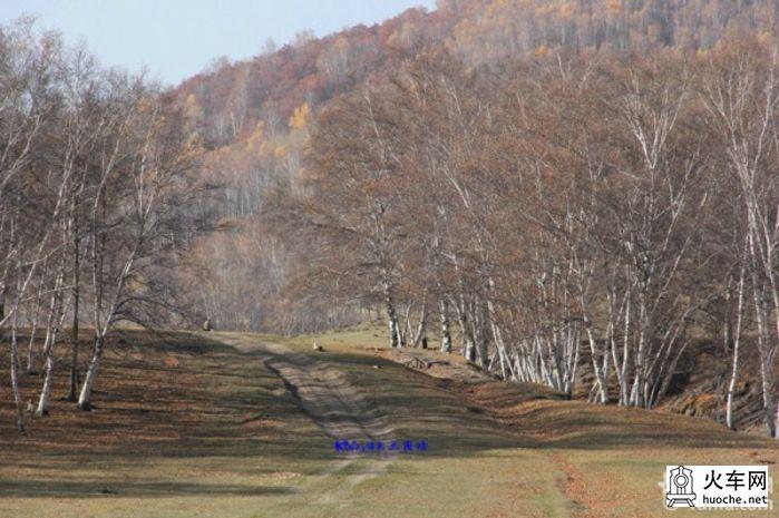 2013年国庆木兰围场之寻秋之旅之童话之旅50