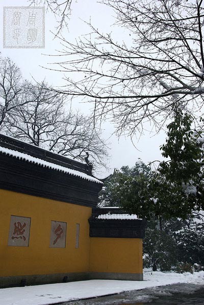 杭州西湖,西塘,苏州同里,乌镇东栅古镇攻略之自助游至专玩法2