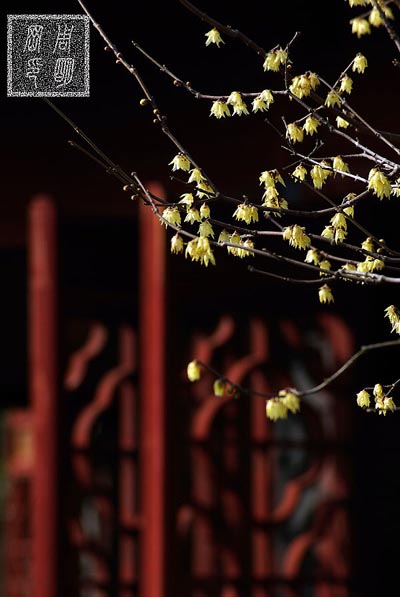 杭州西湖,西塘,苏州同里,乌镇东栅古镇攻略之自助游至专玩法19