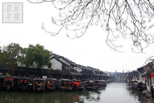 杭州西湖,西塘,苏州同里,乌镇东栅古镇攻略之自助游至专玩法14