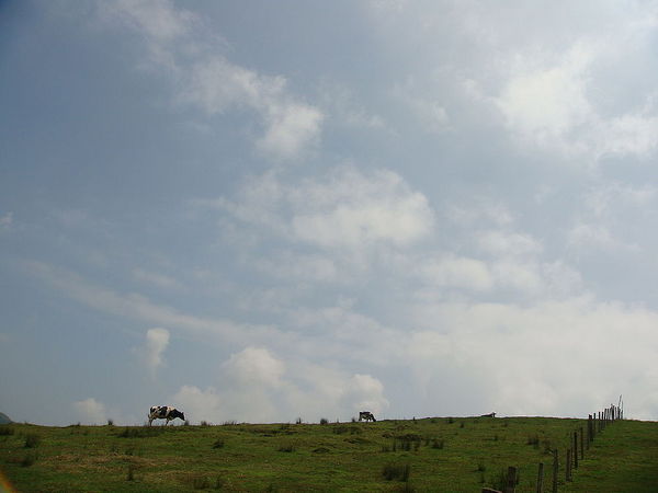 放飞心情 就在南山牧场6