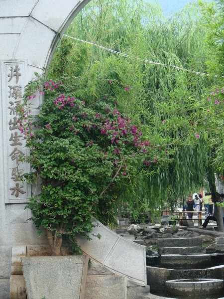 游苍山洱海体验风花雪夜 游南诏岛当回大理段氏54
