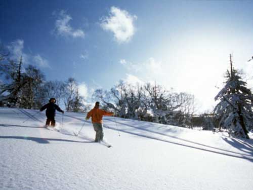 日本冬季：玩雪 泡温泉 品美食 享受节1