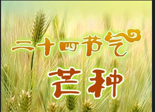 2015芒种时间 2015芒种时间