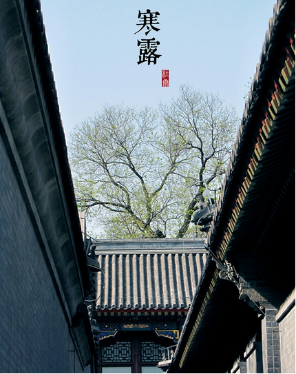 2015年寒露是什么时候