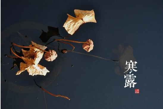2015年寒露具体时间