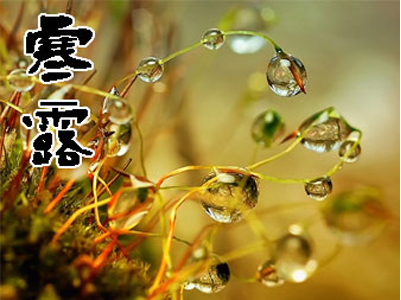 寒露的影响
