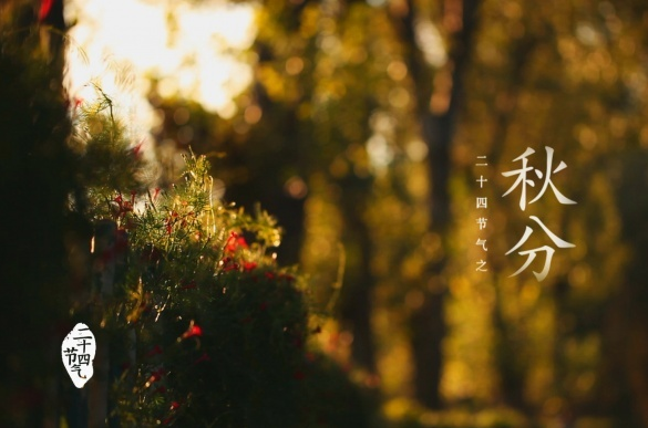 2015秋分是几点