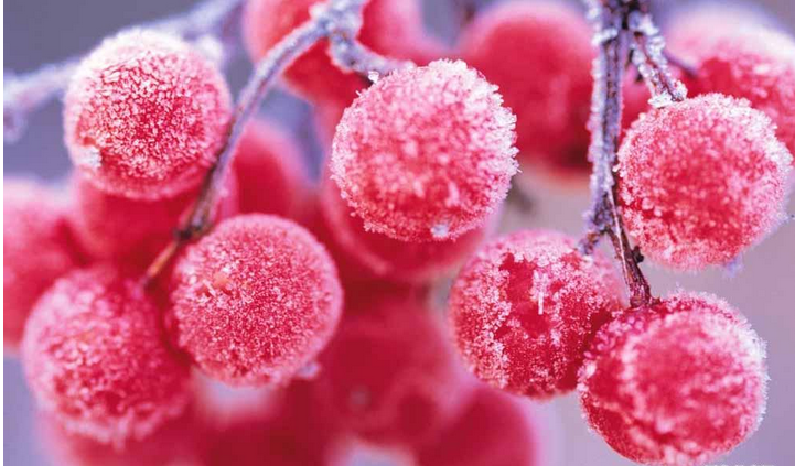 小雪的由来