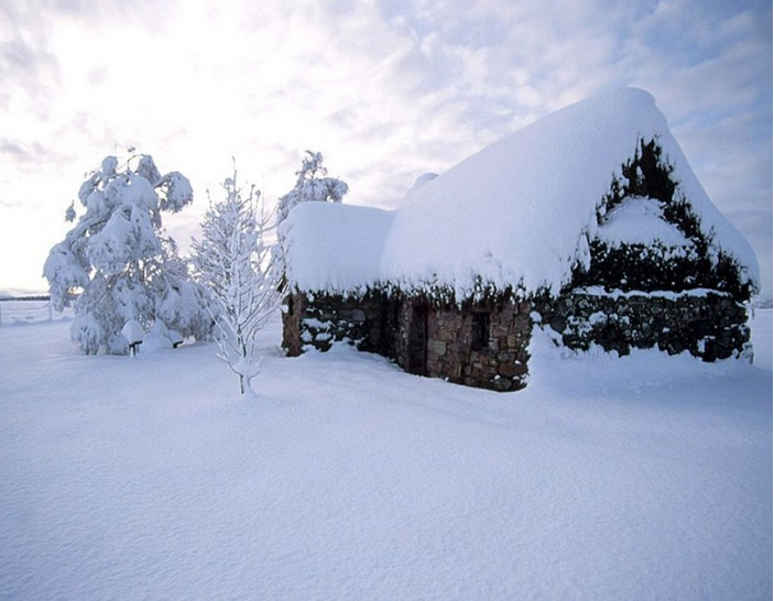 2015小雪是哪天