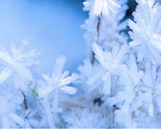 2015年小雪是哪天