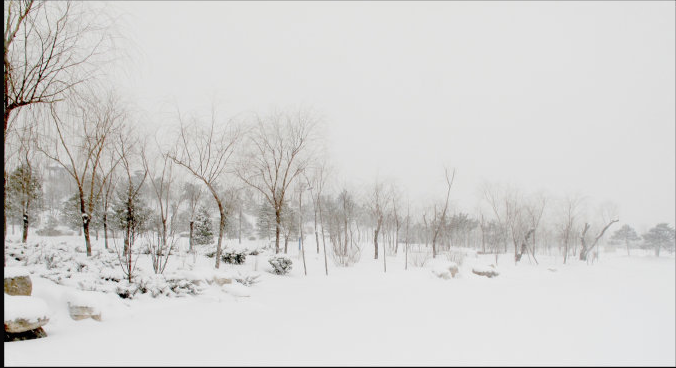2015年什么时候大雪