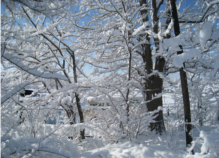 关于大雪的由来