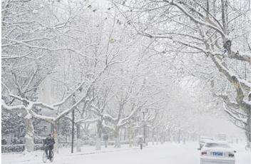 大雪谚语