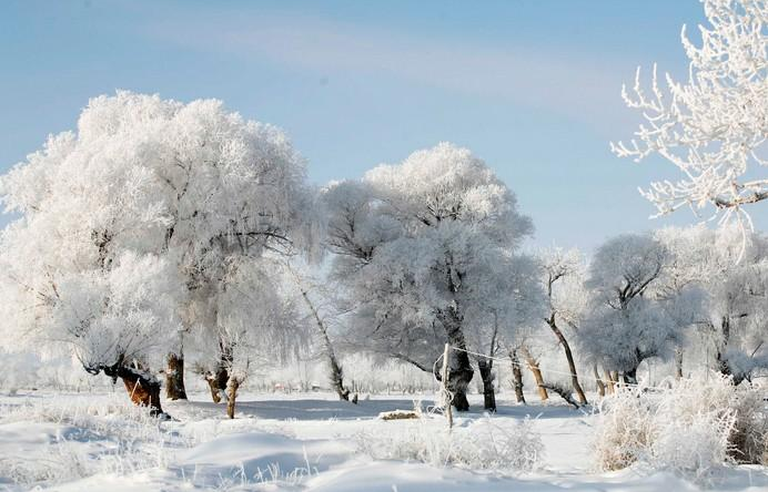 2015大雪是哪天