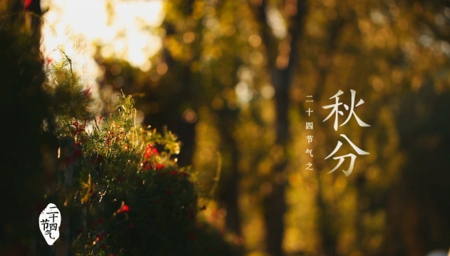 秋分节气是什么意思 秋分节气是什么意思