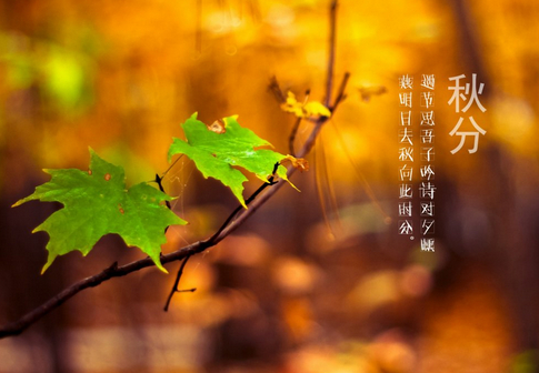 秋分诗句 秋分诗句