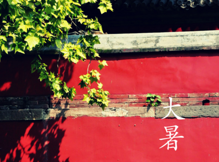 2016年大暑节气是什么时候