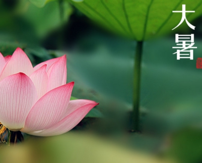 2016年大暑节气是几月几日 2016年大暑节气是几月几日