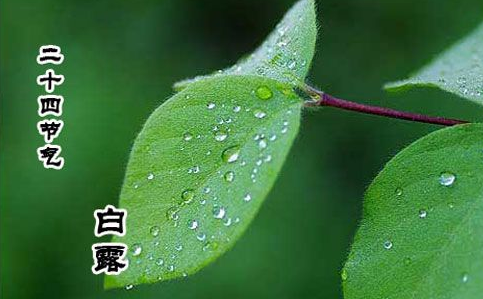 2016几月几日白露 2016几月几日白露