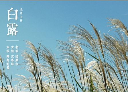 2016哪一天白露