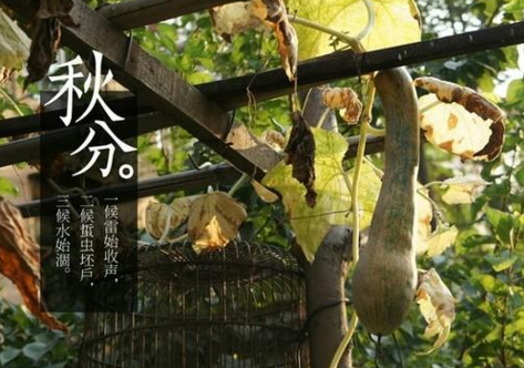 2016年秋分几月几日几点 2016年秋分几月几日几点