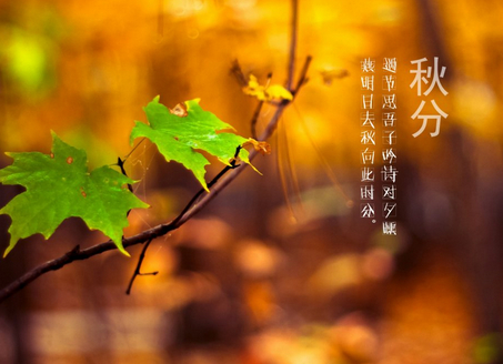2016年几月几日秋分 2016年几月几日秋分