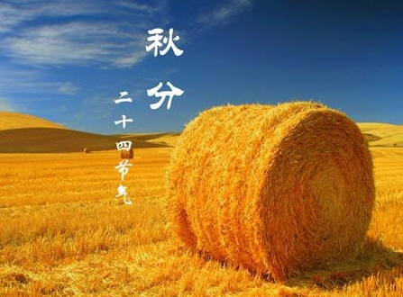 2016秋分吃什么好