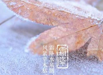 2016年霜降是什么时候