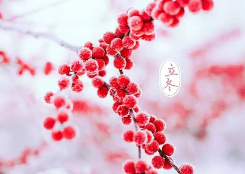 2016立冬什么时间