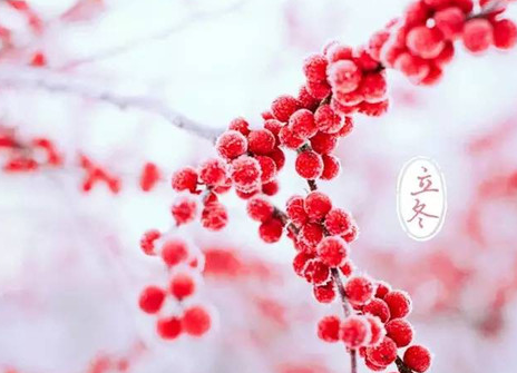 2016年11月7日几点立冬 2016年11月7日几点立冬