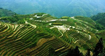元旦适合去哪儿旅游