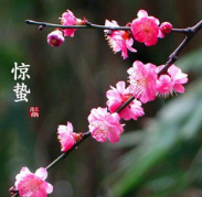 2017年惊蜇几点几分