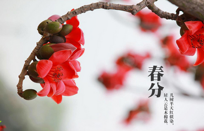 关于春分的故事散文