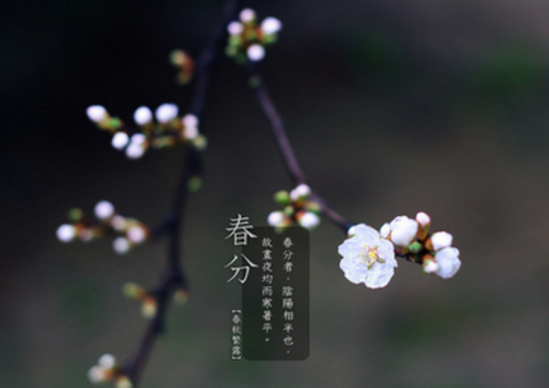 春分气候特点