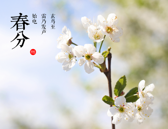 春分和立春的区别