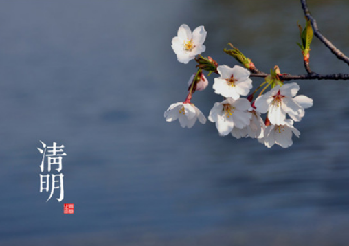 2017年小学清明节放假通知 2017年小学清明节放假通知