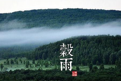 2017年谷雨是几号