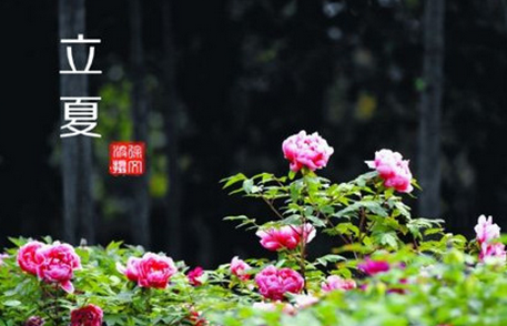  2017年立夏是哪一天