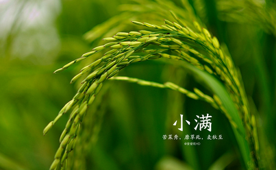 小满节气是什么意思